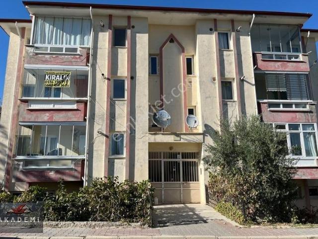 Kastamonu Merkez, Kastamonu içerisinde kiralık mülk