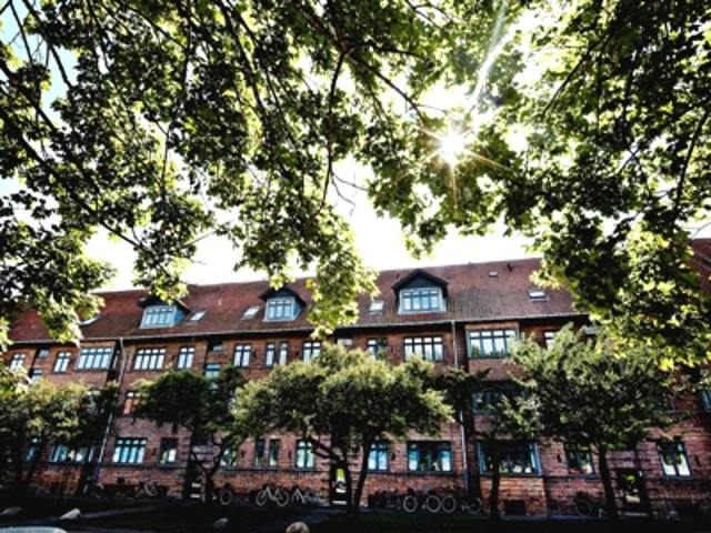 Lejlighed til leje i Nørrebro, København