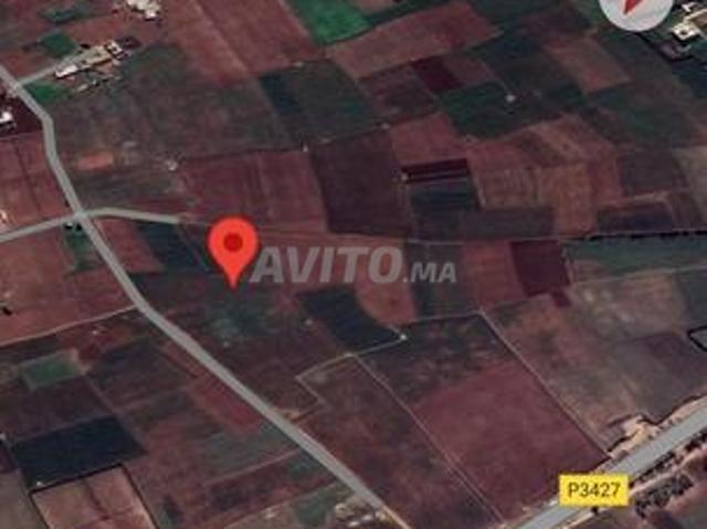 Propriété vente à El Ma, Gharb-Chrarda-Beni Hssen
