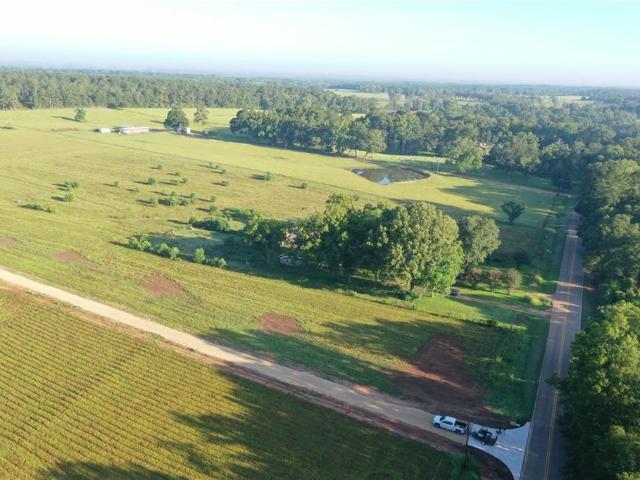 Land for sale in Roseland, Louisiana