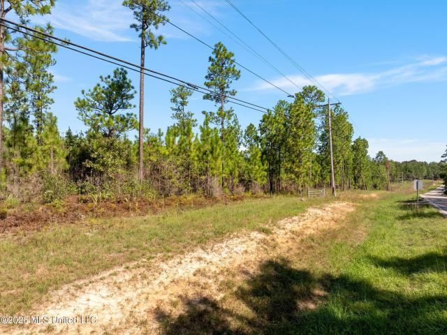 Land for sale in Purvis, Lamar County