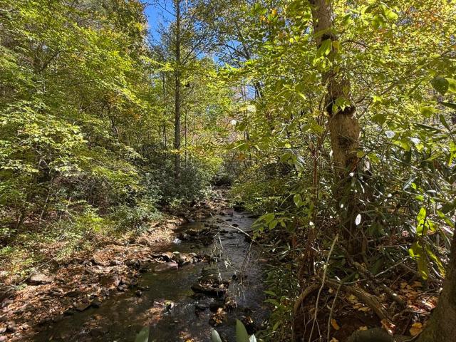 Land for sale in Sweetgum, Robbinsville