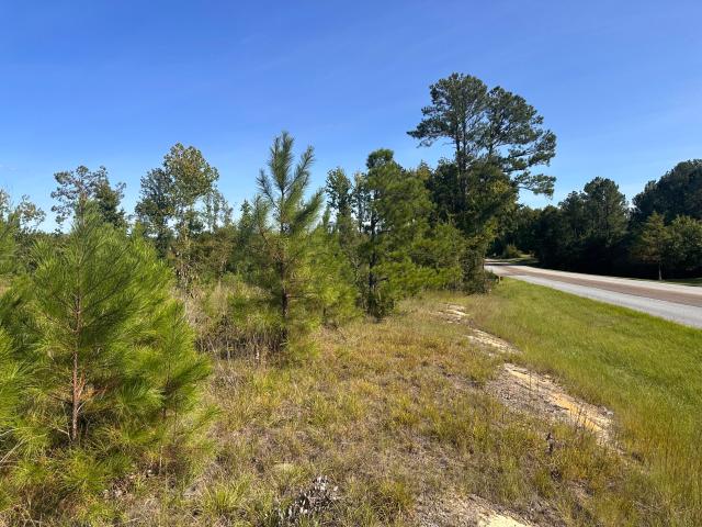 Commercial for sale in South Carolina