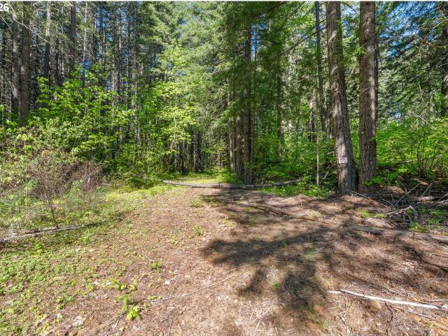 Land for sale in BZ Corner, Trout Lake