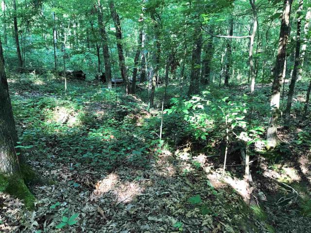 Land for sale in Tennessee