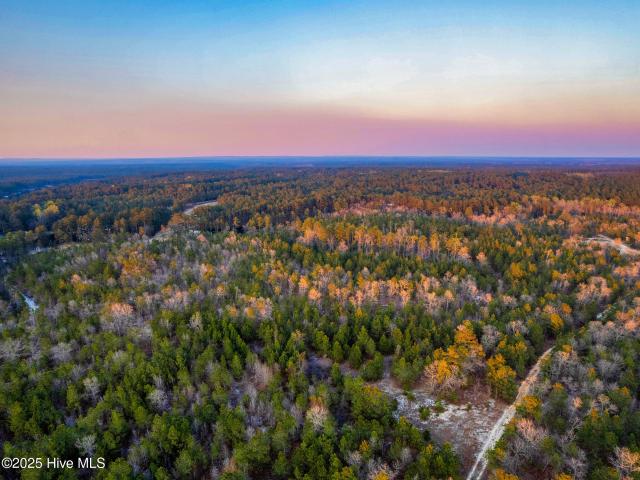 Land for sale in Scotland, North Carolina