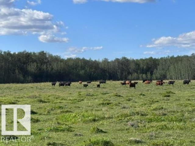 Land for sale in Alberta