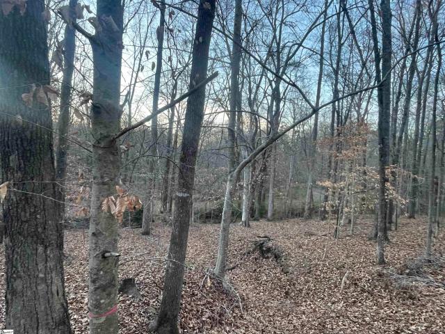 Land for sale in Laurens, South Carolina