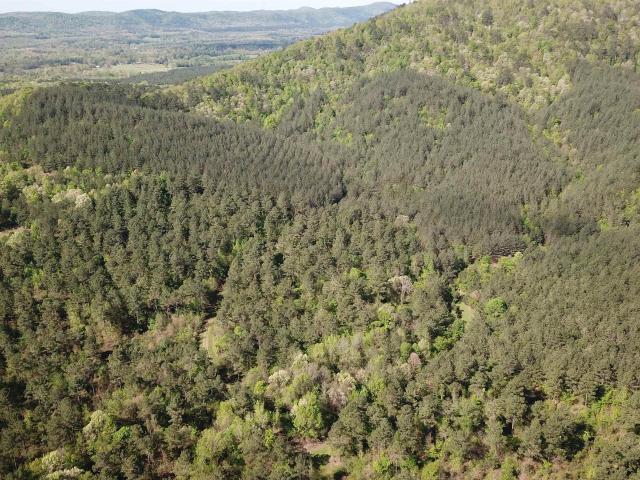 Land for sale in Hopper, Montgomery County
