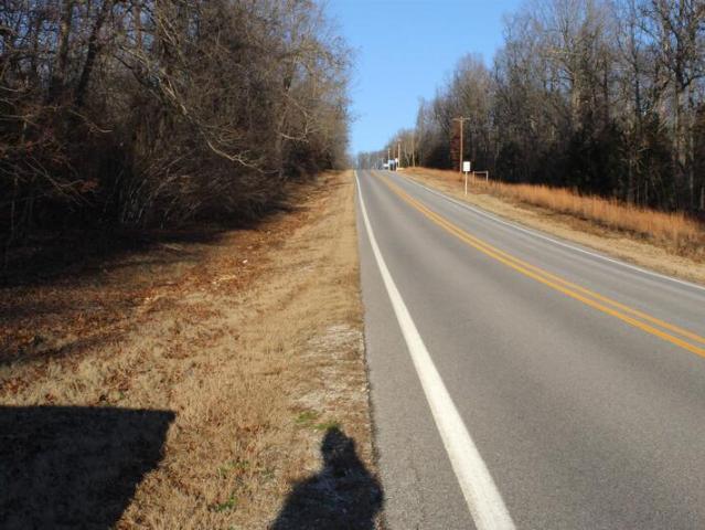 Land for sale in Horseshoe Bend