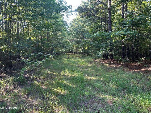 Land for sale in Oakland, Mississippi