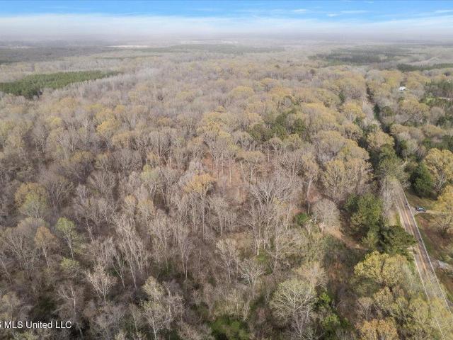Land for sale in Bentonia, Mississippi