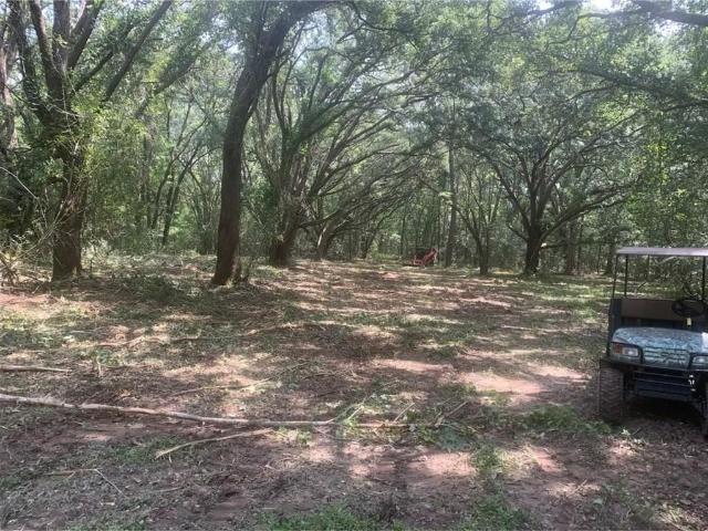 Land for sale in Abita Springs, Louisiana