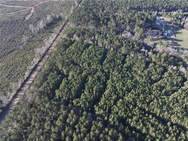 Land for sale in Saint Helena, Louisiana