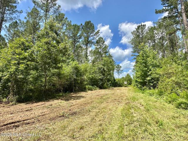 Land for sale in Kosciusko, Mississippi