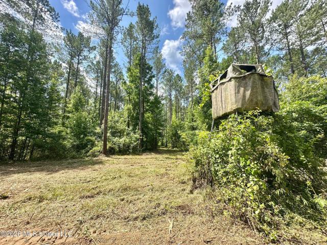 Land for sale in Kosciusko, Mississippi