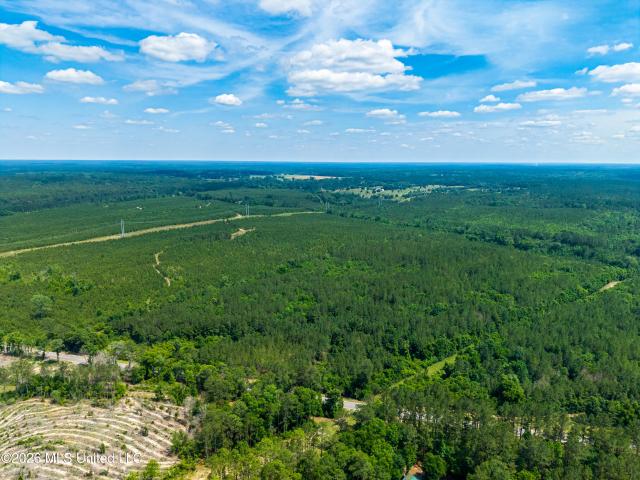 Land for sale in Poplarville, Mississippi
