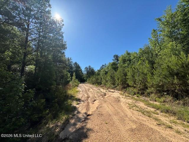Land for sale in Poplarville, Mississippi