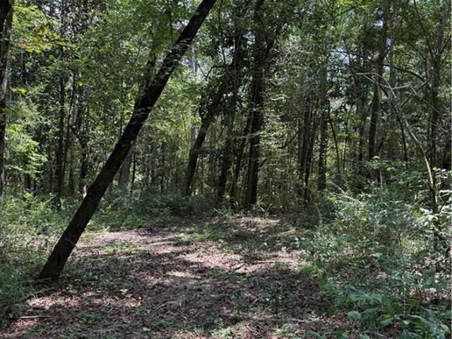 Land for sale in Mount Hermon, Louisiana