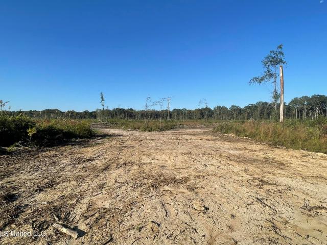 Land for sale in Winston, Mississippi