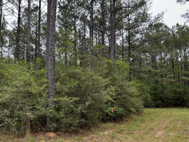 Land for sale in Mississippi