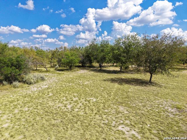 Land for sale in Uvalde, Uvalde County