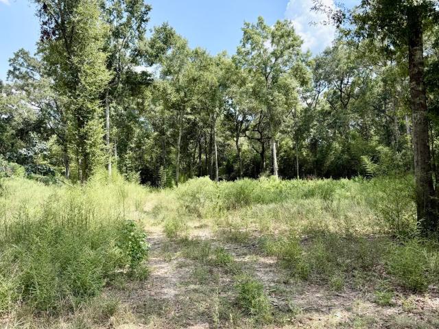 Land for sale in Moss Point, Mississippi