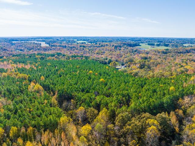 Land for sale in Tennessee