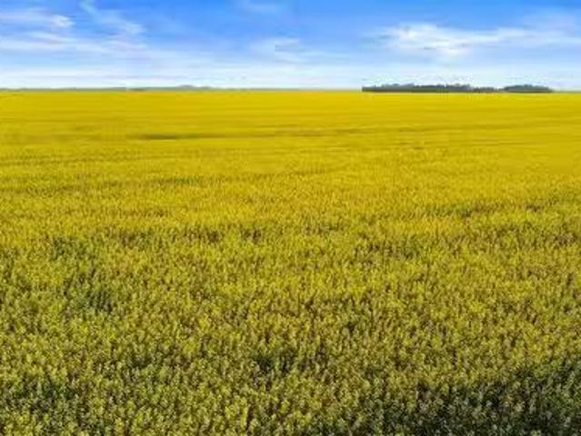 House for sale in Saskatchewan