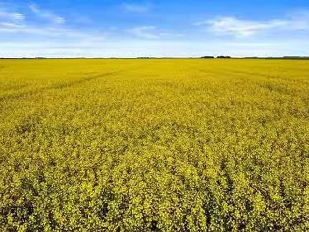House for sale in Saskatchewan