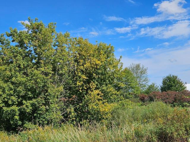Land for sale in Rock Creek, Minnesota