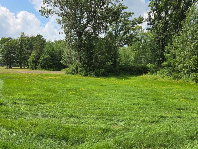 Land for sale in Swiss, Wisconsin