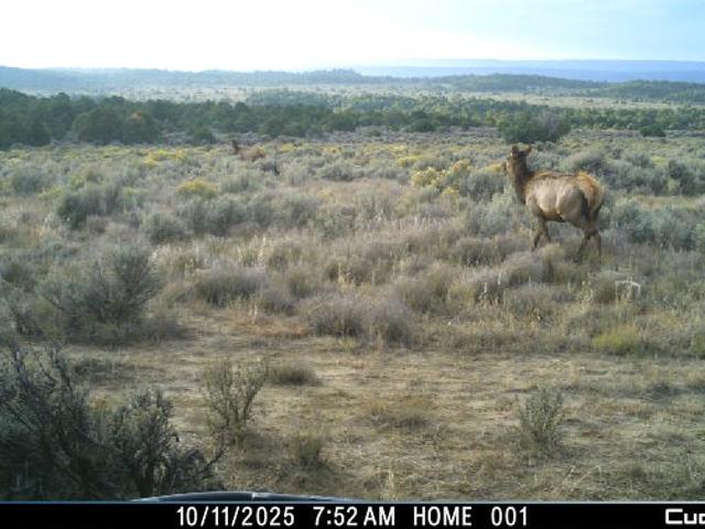 Farm for sale in Los Ojos, New Mexico