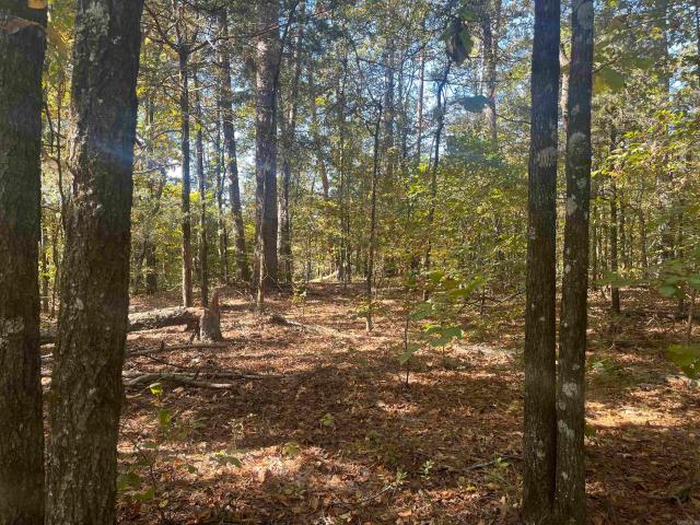 Land for sale in Ark