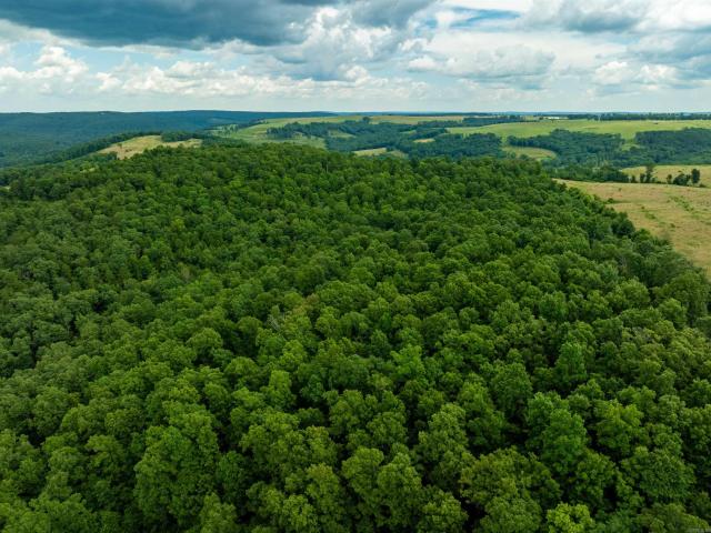 Land for sale in Ark
