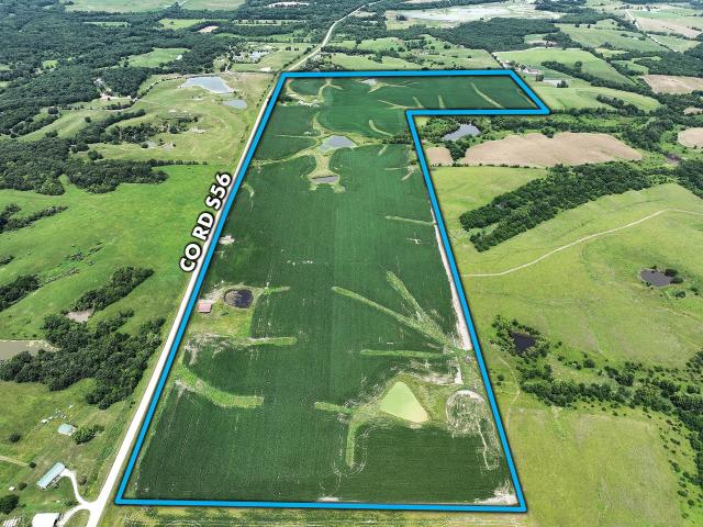Land for sale in Promise City, Iowa