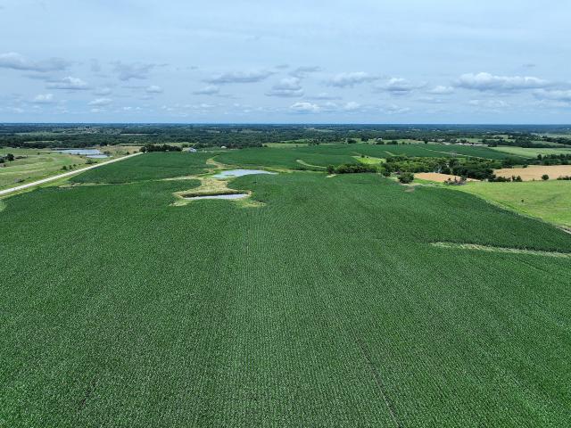 Land for sale in Promise City, Iowa
