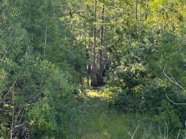 Land for sale in Moss Point, Mississippi
