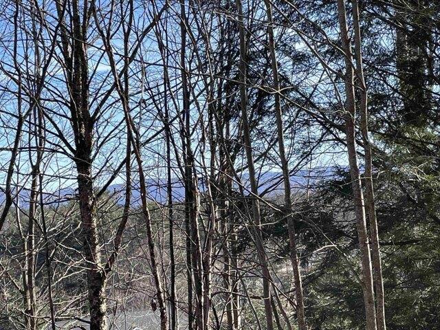 Land for sale in Hyde Park, Vermont