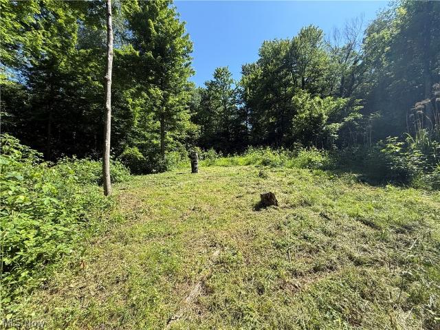 Land for sale in Coshocton, Ohio