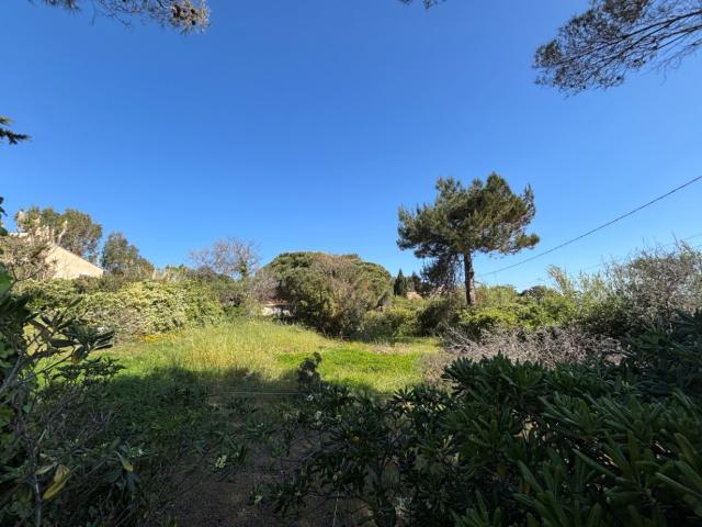 Terrain vente à Hyères, Var