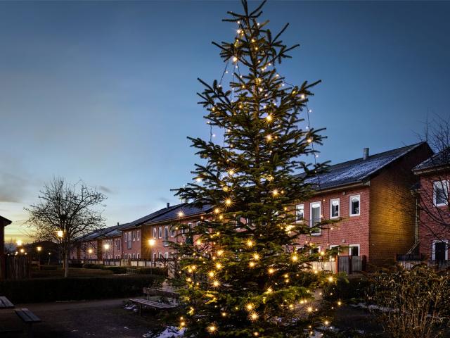 Lejlighed til leje i Holstebro, Århus