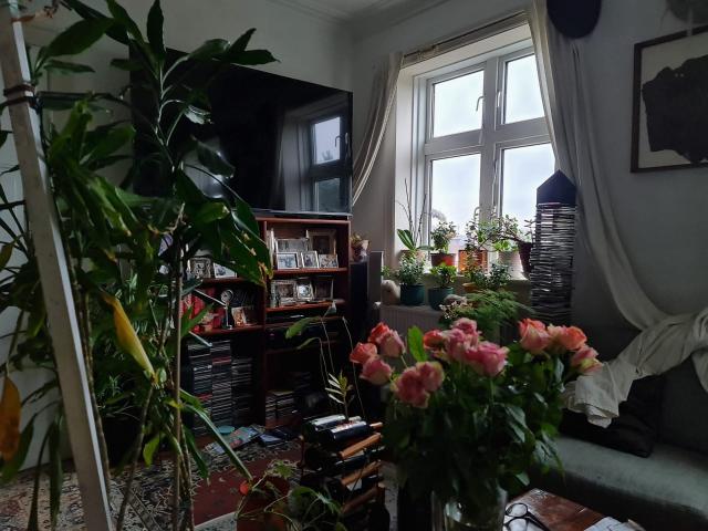 Lejlighed til leje i Østerbro, København