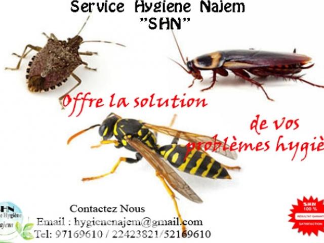 Propriété location