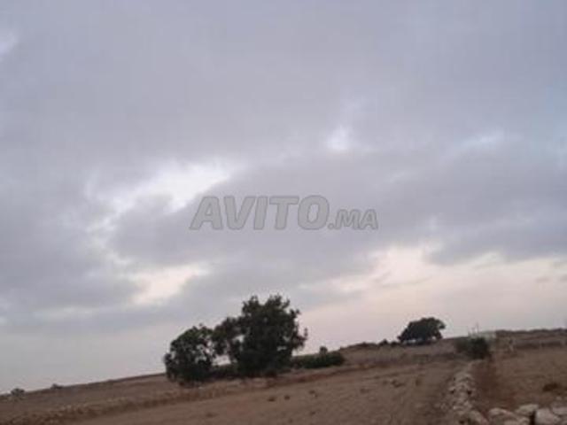 Propriété vente à El Ma, Gharb-Chrarda-Beni Hssen
