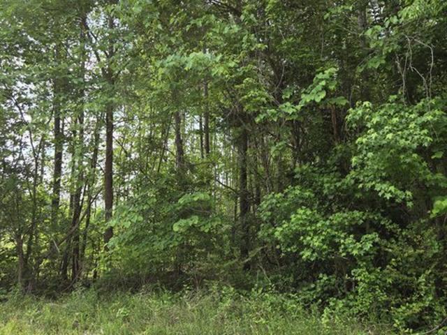 Land for sale in Warrenton, North Carolina