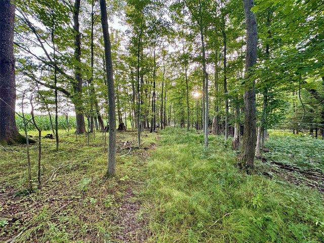 Land for sale in Edinboro, Pennsylvania