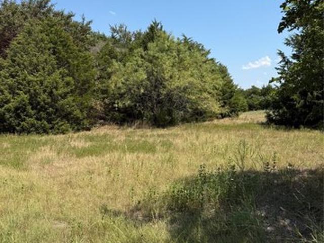 Land for sale in Wills Point, Texas