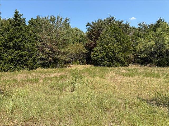 Land for sale in Wills Point, Van Zandt County