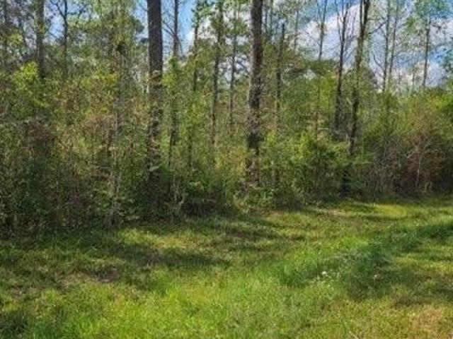 Land for sale in Magnolia, Mississippi